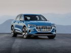 Audi  E-tron  50 71 kWh (313 Hp) quattro  