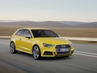 Audi  S3 (8V facelift 2016)  2.0 TFSI (310 Hp) quattro S tronic  