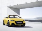 Audi TT RS Roadster (8S) 2.5 TFSI (400 Hp) quattro S tronic