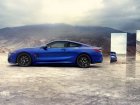 BMW  8 Series Coupe (G15, facelift 2022)  M850i (530 Hp) xDrive Steptronic Sport  