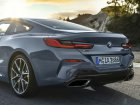 BMW 8 Series (G15)