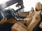 BMW  M8 Convertible  Competition 4.4 V8 (625 Hp) xDrive Steptronic  