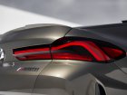 BMW X6 (G06)