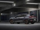 Cupra  Formentor  2.0 TDI EVO (150 Hp)  