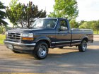 Ford  F-150 IX Regular Cab  5.0 V8 (195 Hp) 4x4 Automatic 