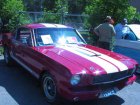 Ford Shelby I