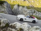 Mercedes-Benz  AMG GT Roadster (R190)  C 4.0 V8 (558 Hp) DCT  