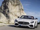 Mercedes-Benz  AMG GT Roadster (R190)  C 4.0 V8 (558 Hp) DCT  