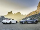 Mercedes-Benz  AMG GT Roadster (R190)  C 4.0 V8 (558 Hp) DCT  