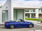 Mercedes-Benz C-class Cabriolet (A205)