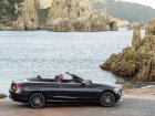 Mercedes-Benz  C-class Cabriolet (A205, facelift 2018)  C 220d (194 Hp) G-TRONIC  
