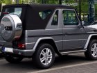 Mercedes-Benz G-class Cabriolet (W463, facelift 2008)