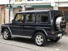 Mercedes-Benz G-class Long (W463)