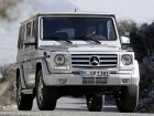 Mercedes-Benz G-class (W463)