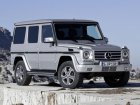 Mercedes-Benz G-class (W463 facelift 2012) G 300 CDI (184 Hp) Professional Station