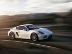 Porsche Cayman (981c)