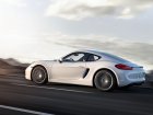 Porsche Cayman (981c)
