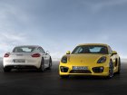 Porsche Cayman (981c)