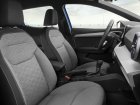 Seat  Ibiza V (facelift 2021)  1.0 TSI (110 Hp)  