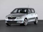 Skoda Fabia II 1.9 TDI (105 Hp) DPF