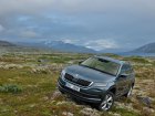 Skoda  Kodiaq  2.0 TSI (180 Hp) 4x4 DSG 7 Seat  