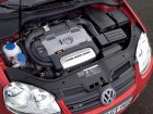 Volkswagen  Golf V  1.9 TDI (105 Hp) 5MT  